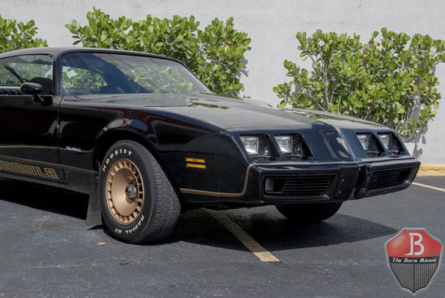 1980 Pontiac Firebird -- - photo 11
