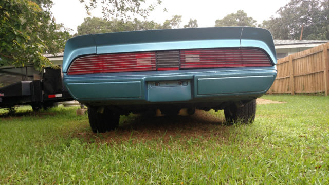 1980 Pontiac Firebird Base - photo 4