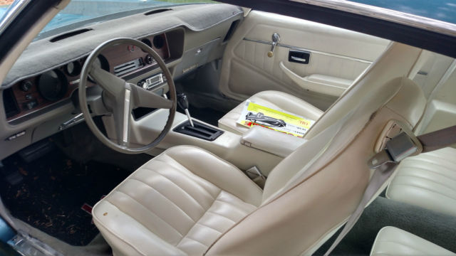 1980 Pontiac Firebird Base - photo 6