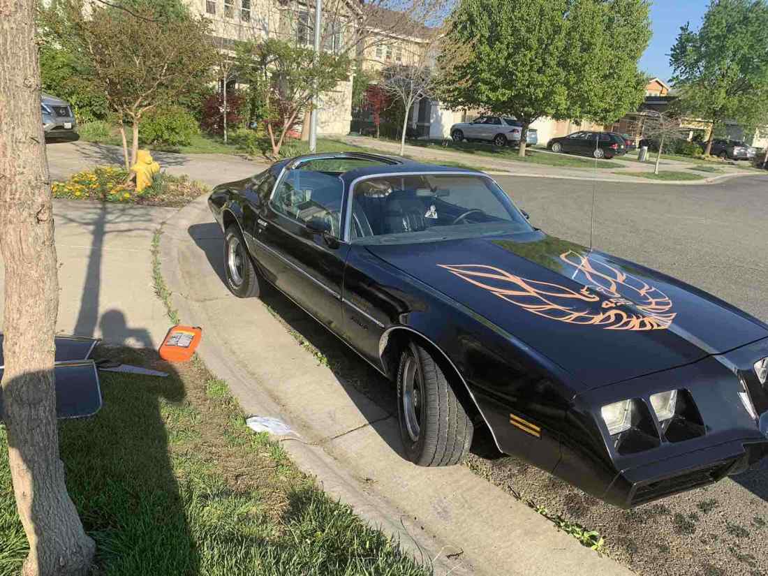1980 Pontiac Firebird