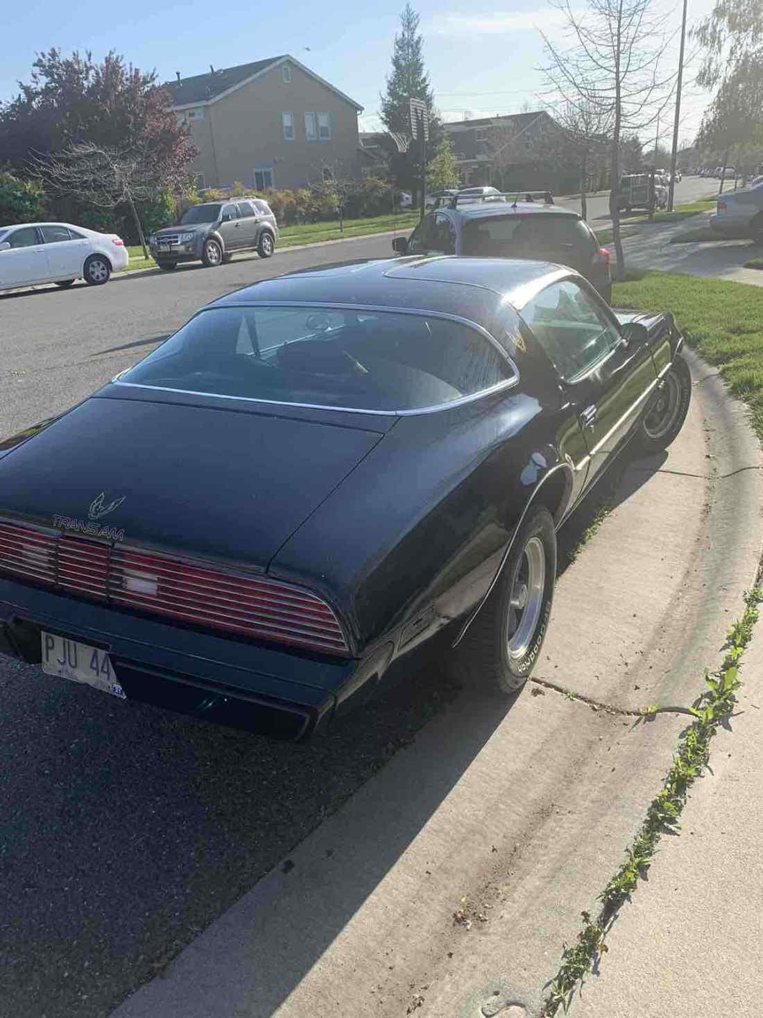 1980 Pontiac Firebird - photo 10