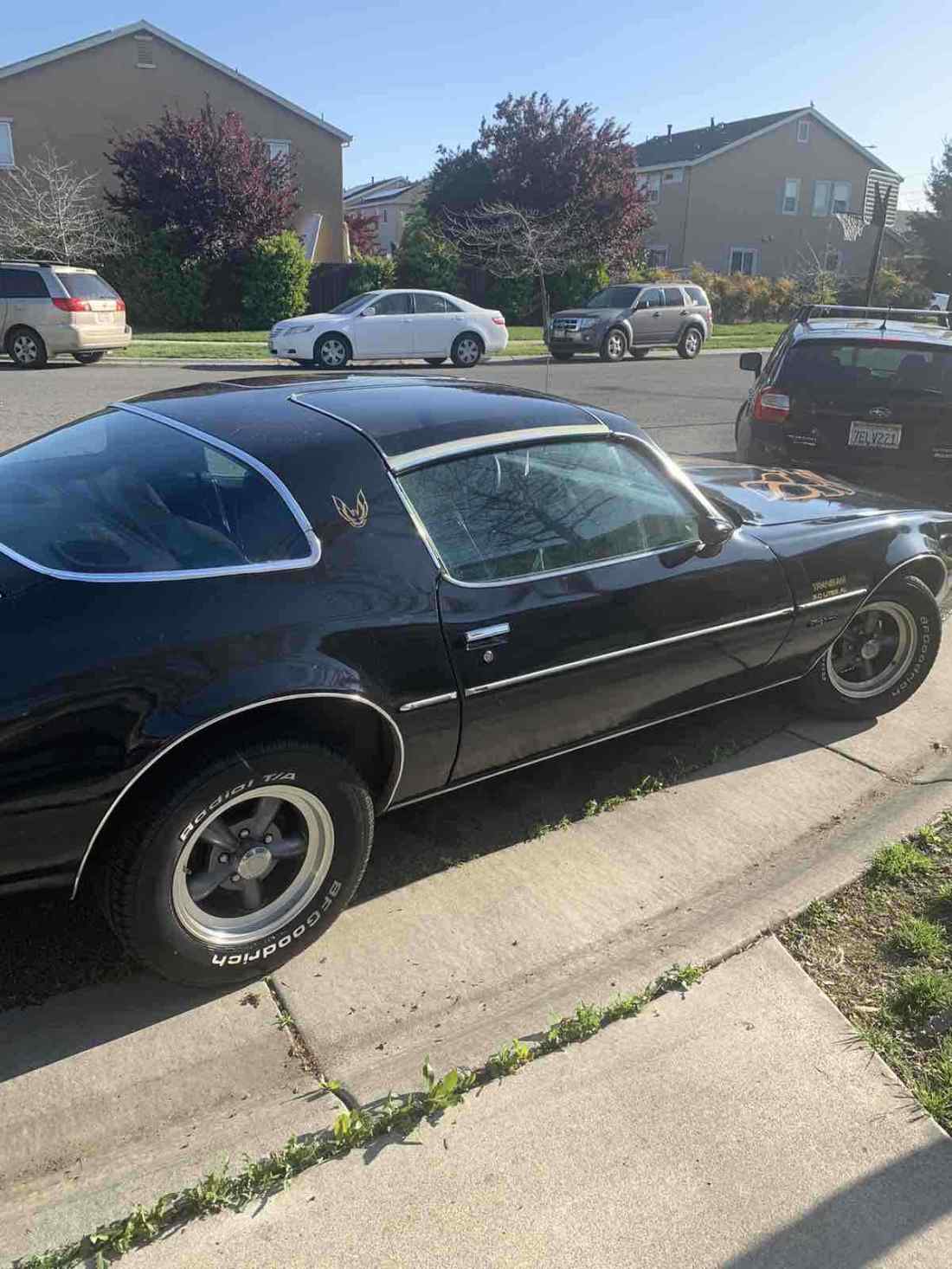1980 Pontiac Firebird - photo 11