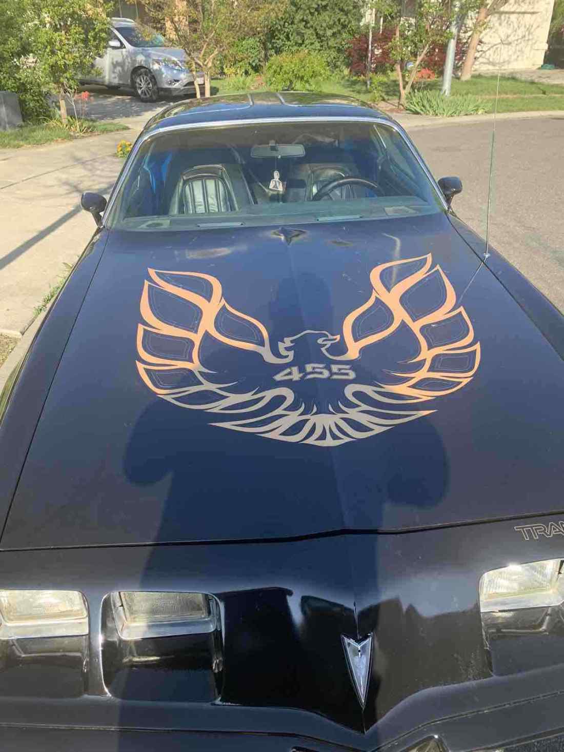 1980 Pontiac Firebird - photo 13