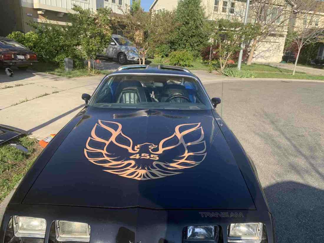1980 Pontiac Firebird - photo 2
