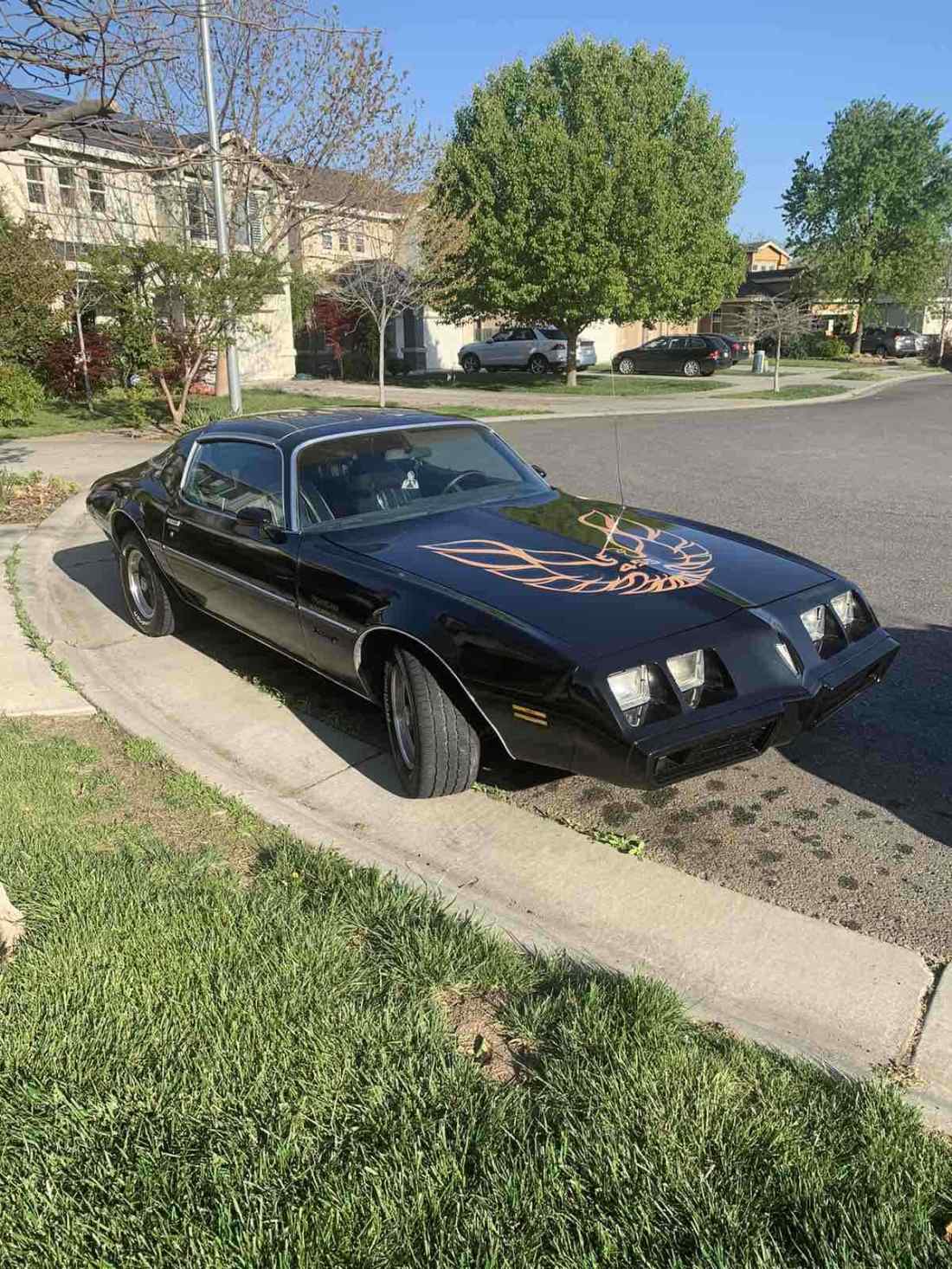 1980 Pontiac Firebird - photo 4