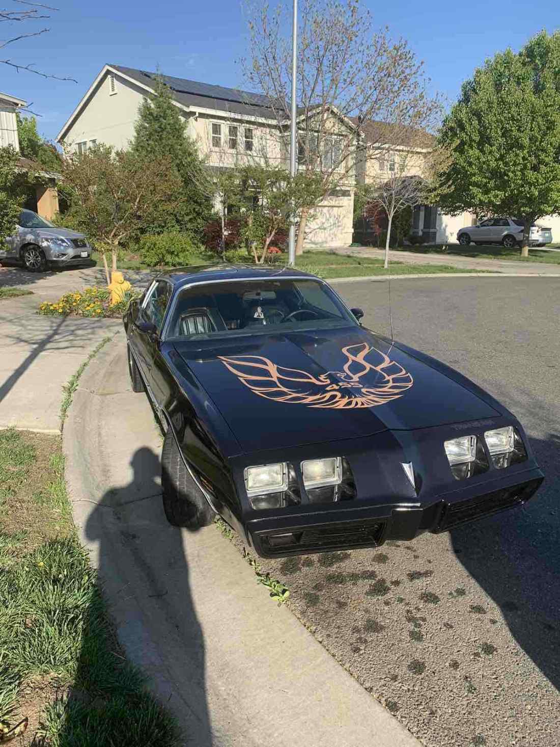 1980 Pontiac Firebird - photo 5