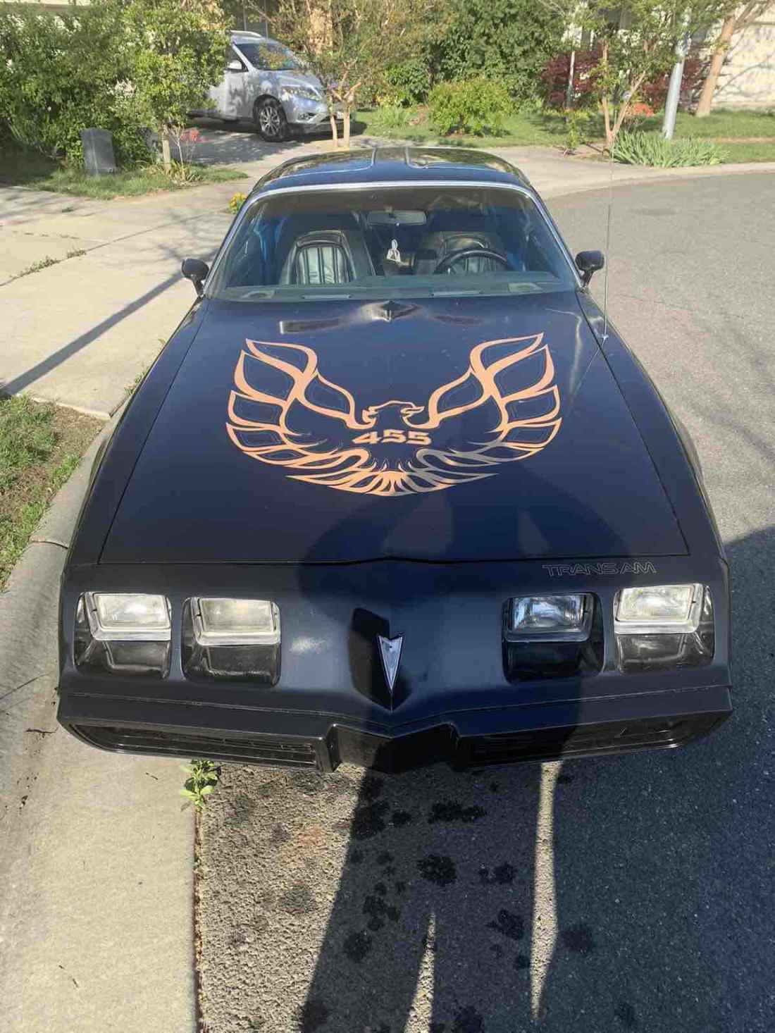 1980 Pontiac Firebird - photo 6