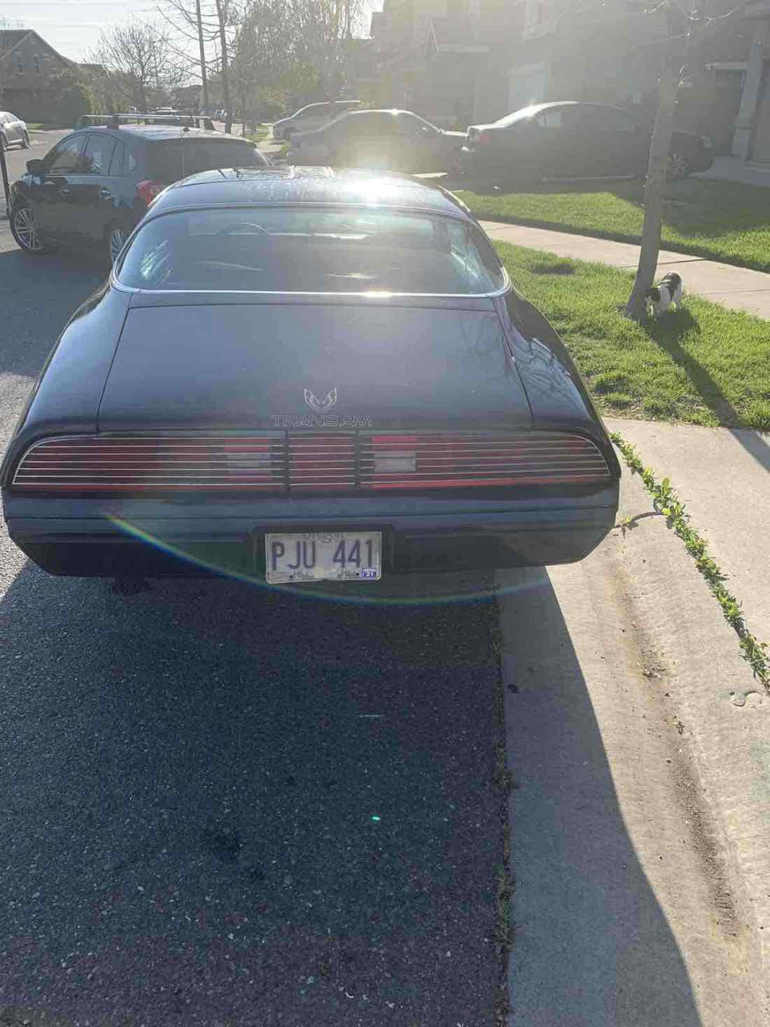 1980 Pontiac Firebird - photo 9