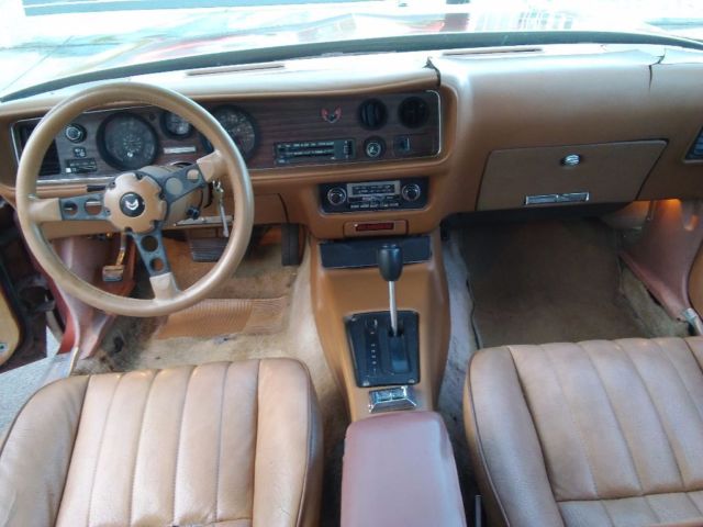1980 Pontiac Firebird - photo 11