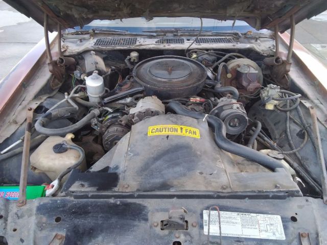 1980 Pontiac Firebird - photo 13