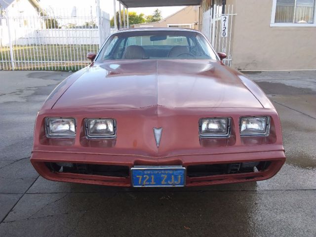 1980 Pontiac Firebird - photo 3