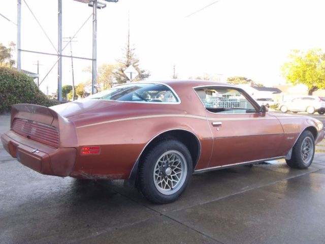 1980 Pontiac Firebird - photo 4