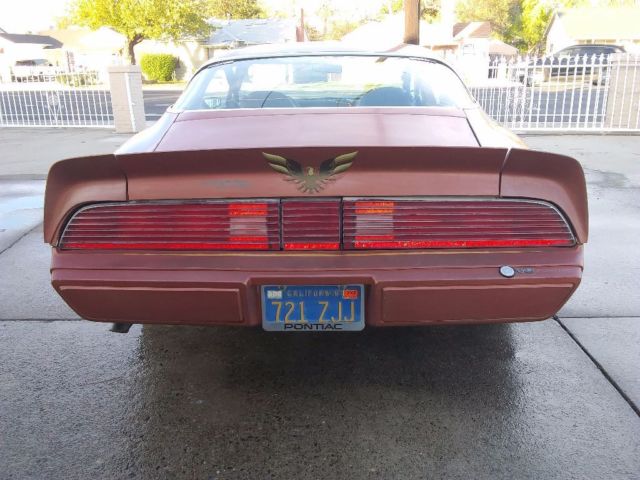 1980 Pontiac Firebird - photo 5