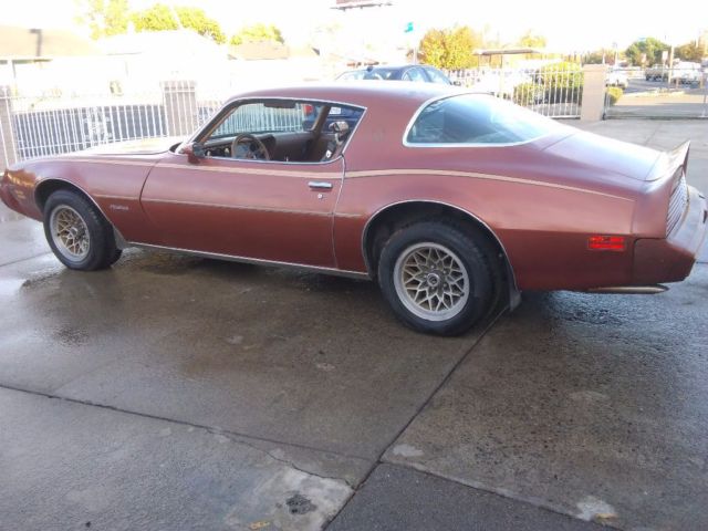 1980 Pontiac Firebird - photo 6