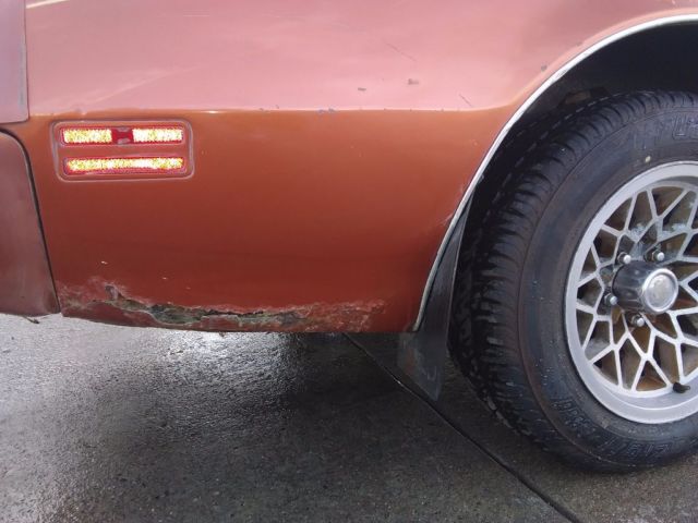 1980 Pontiac Firebird - photo 7