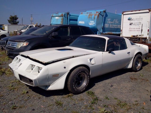 1980 Pontiac Trans Am - photo 2