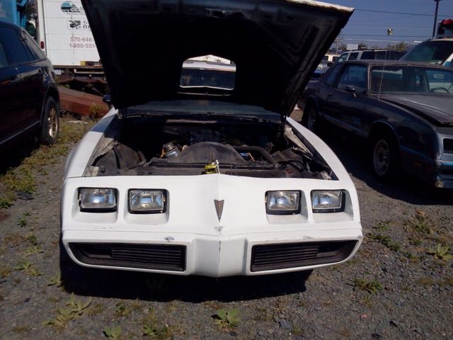 1980 Pontiac Trans Am - photo 3