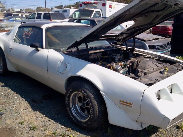 1980 Pontiac Trans Am - photo 4