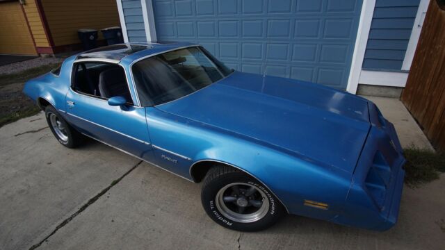 1980 Pontiac Firebird Esprit - photo 13