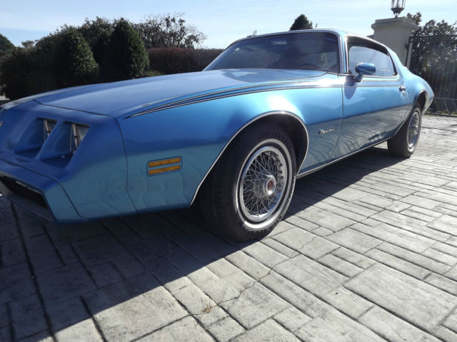 1980 Pontiac Firebird Esprit Coupe 2-Door - photo 10