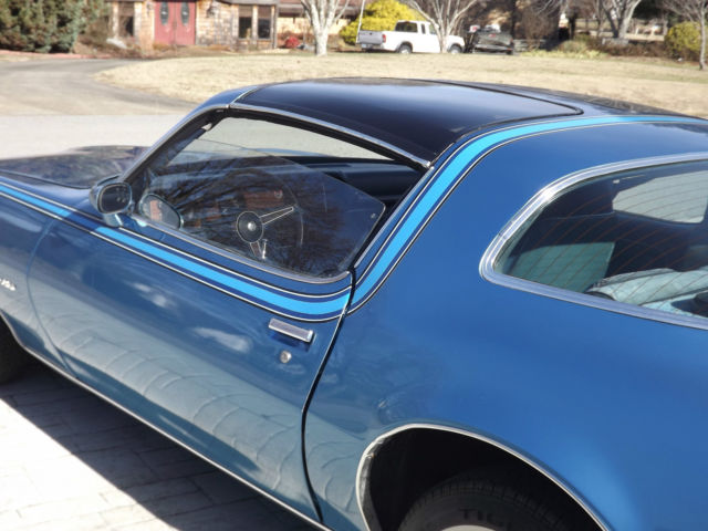 1980 Pontiac Firebird Esprit Coupe 2-Door - photo 13