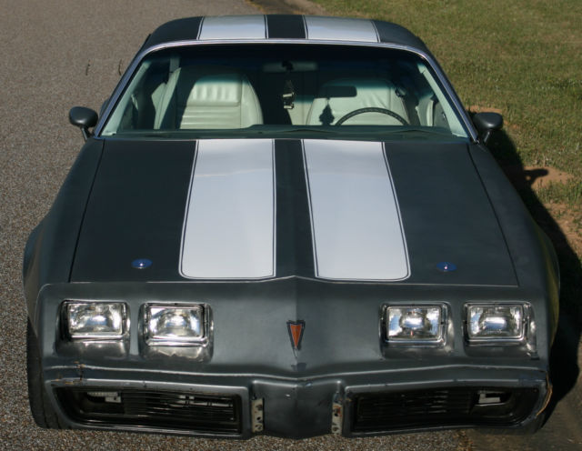 1980 Pontiac Firebird - photo 12