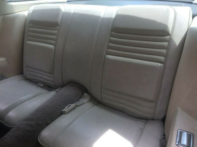 1980 Pontiac Firebird Esprit - photo 10