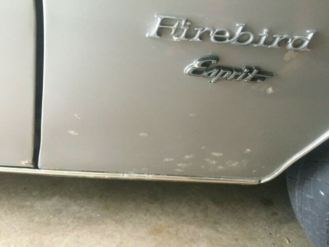 1980 Pontiac Firebird Esprit - photo 11