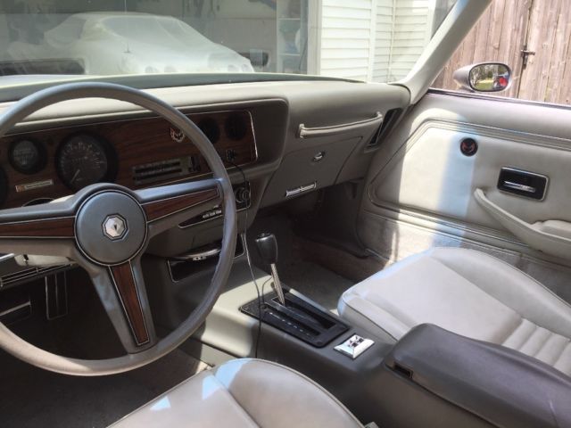 1980 Pontiac Trans Am - photo 10