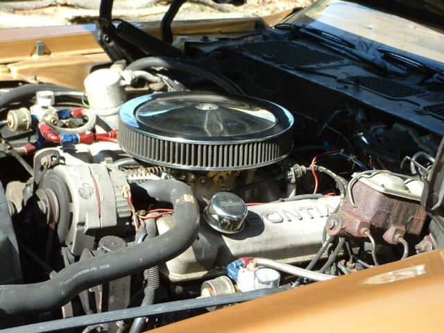 1980 Pontiac Firebird - photo 10