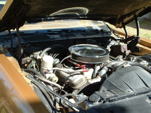 1980 Pontiac Firebird - photo 12