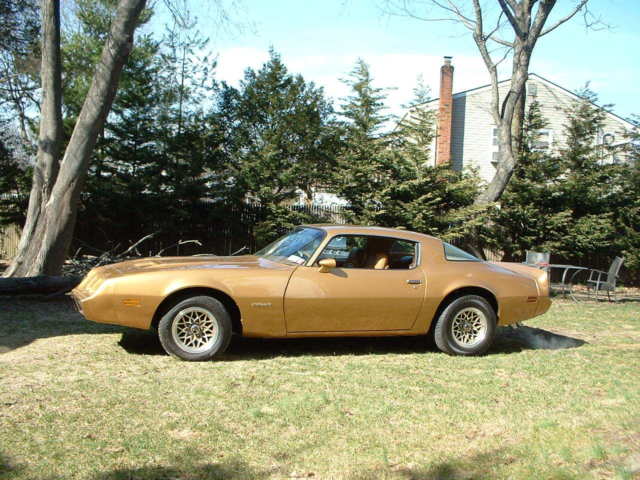 1980 Pontiac Firebird - photo 13