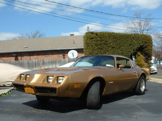 1980 Pontiac Firebird - photo 2