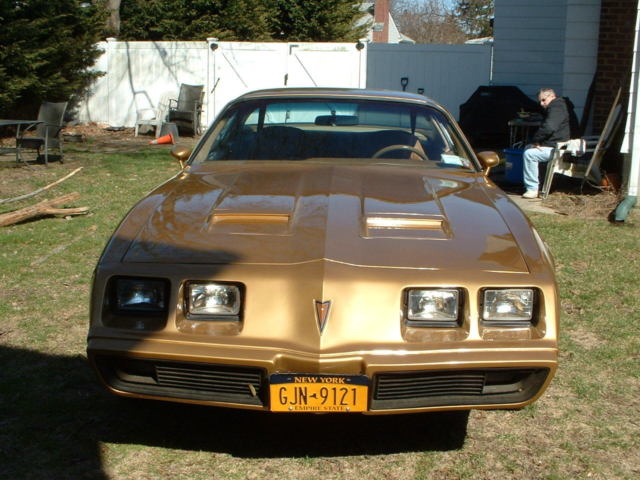 1980 Pontiac Firebird - photo 3