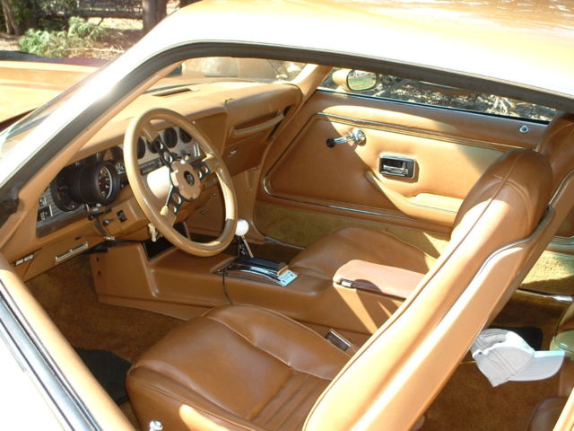 1980 Pontiac Firebird - photo 4