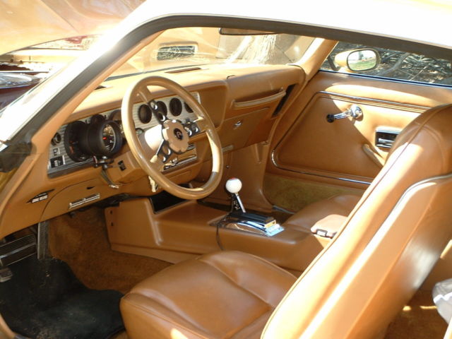 1980 Pontiac Firebird - photo 6