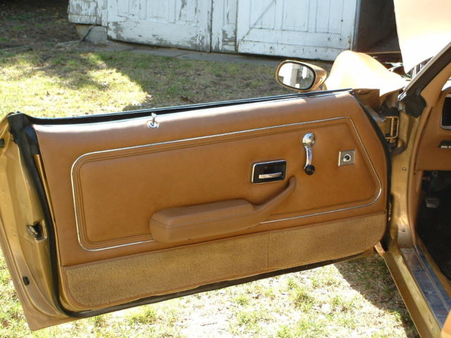 1980 Pontiac Firebird - photo 7