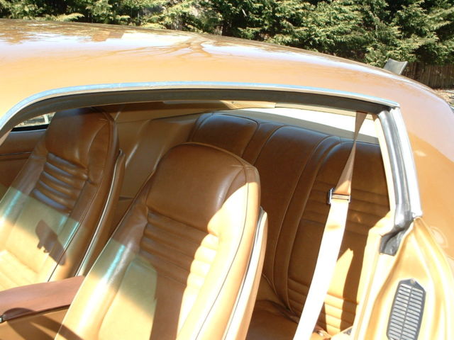 1980 Pontiac Firebird - photo 8