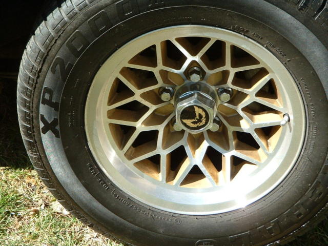 1980 Pontiac Firebird - photo 9