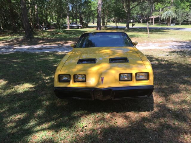 1980 Pontiac Firebird - photo 2