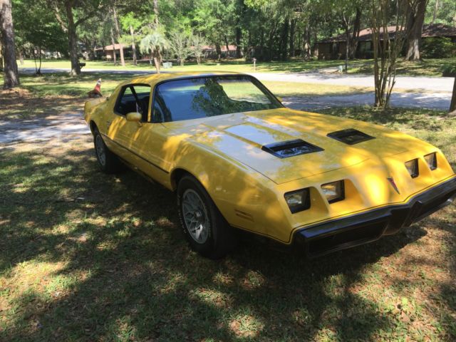 1980 Pontiac Firebird - photo 3