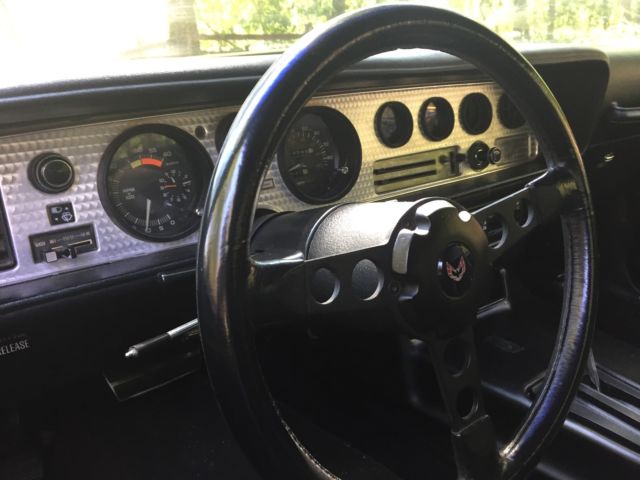 1980 Pontiac Firebird - photo 6