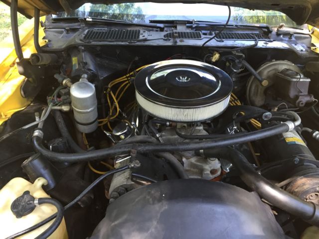 1980 Pontiac Firebird - photo 8