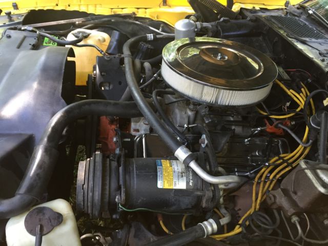 1980 Pontiac Firebird - photo 9