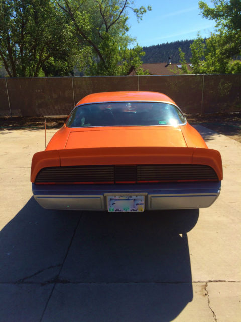 1980 Pontiac Firebird Formula - photo 6