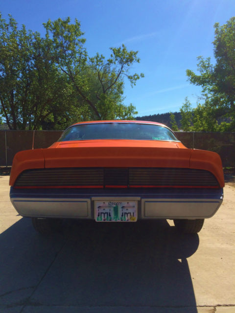 1980 Pontiac Firebird Formula - photo 7