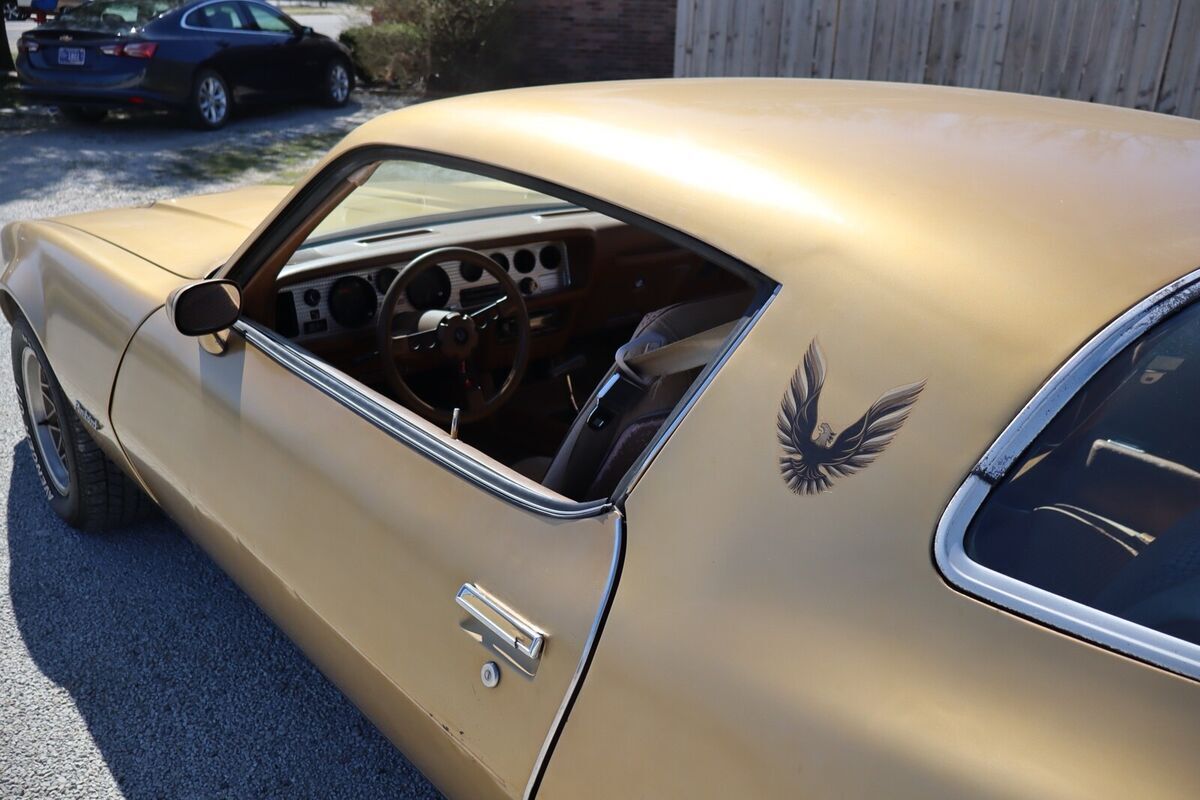 1980 Pontiac Firebird Formula - photo 11