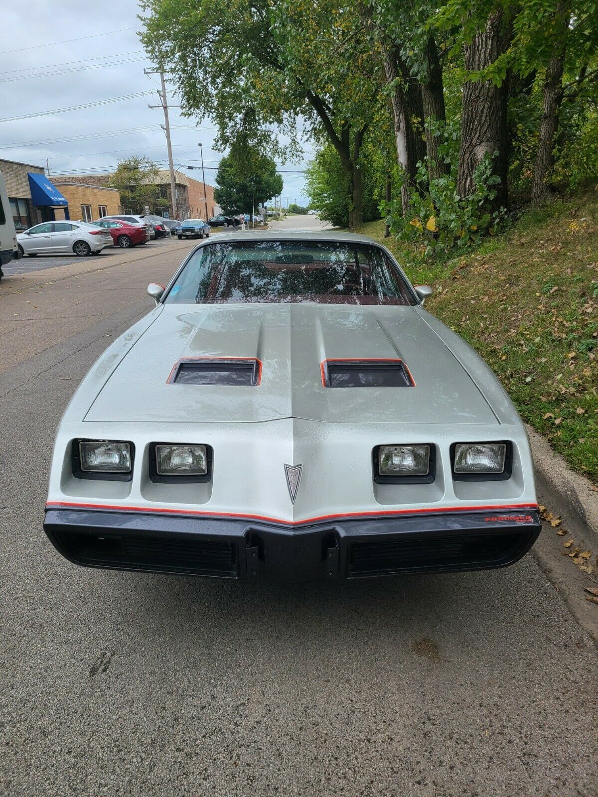 1980 Pontiac Firebird - photo 2
