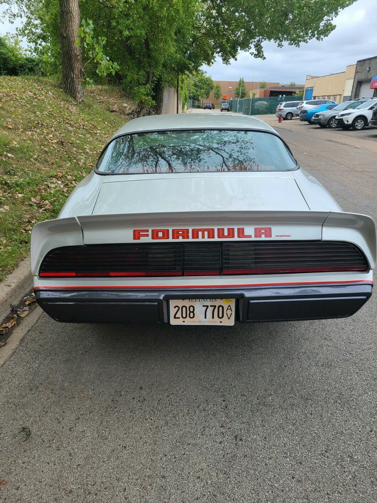 1980 Pontiac Firebird - photo 3