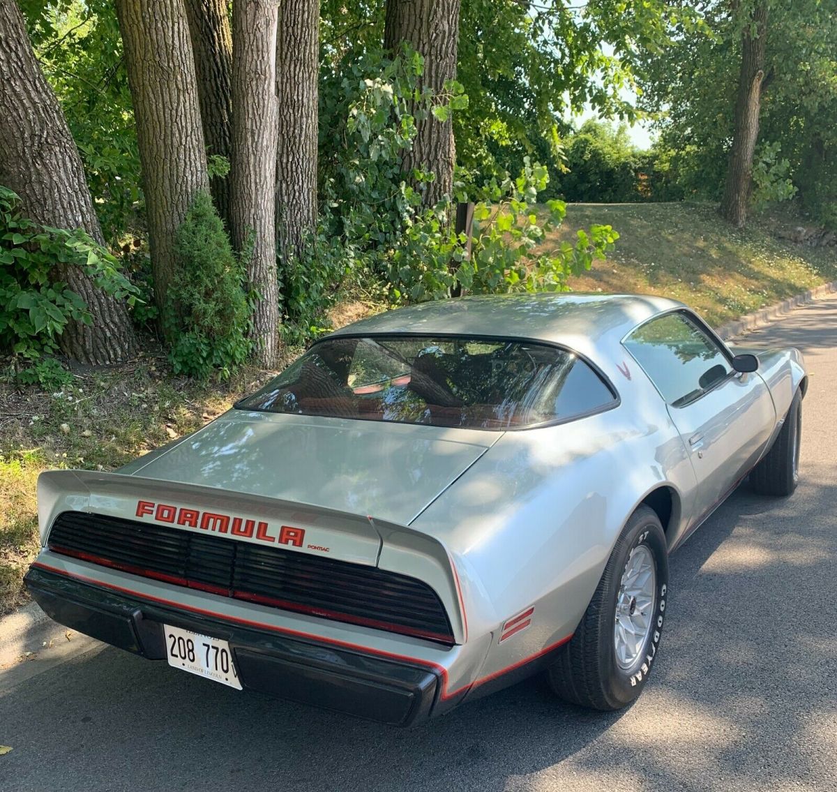 1980 Pontiac Firebird - photo 7